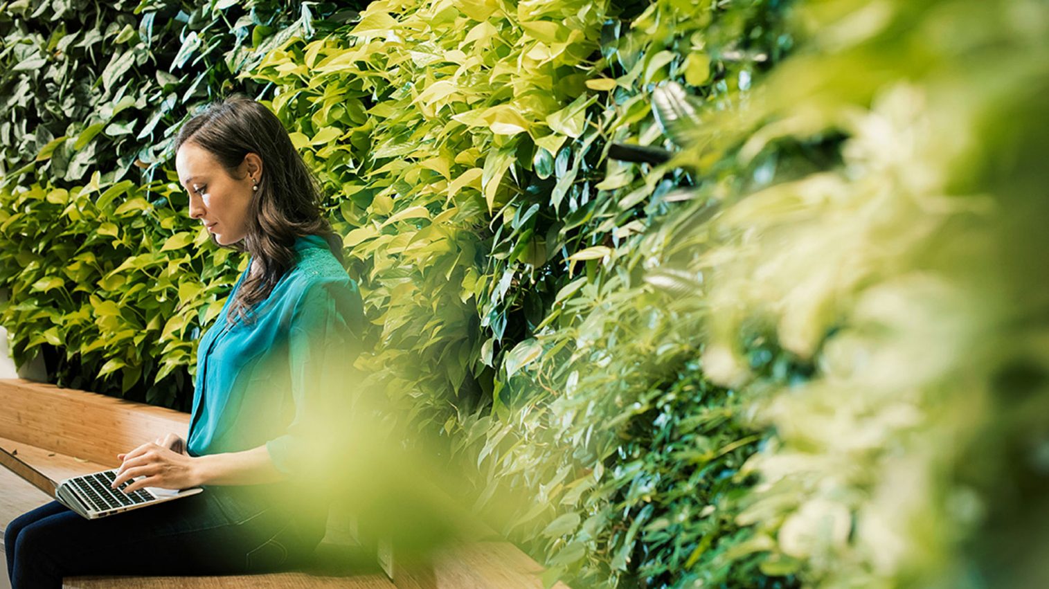 person working on a laptop while sitting on a bench in a green environment